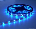 LED flexible strip(SMD3528) 2