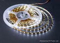 LED flexible strip(SMD3528) 3