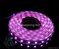 LED flexible strip(SMD3528) 4