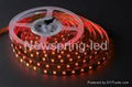 LED flexible strip(SMD3528) 5