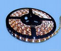 LED flexible strip(SMD5050) 3