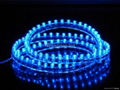 LED flexible strip(SMD5050) 5