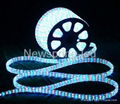 LED rope light 3