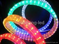 LED rope light 5