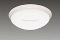 Led ceiling light 1