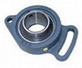 Pillow block bearing 2