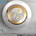 LED down lamp 1