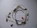 Biomedical Instruments 9800TL Holter