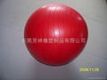 Fitness Ball，Gym Ball 2