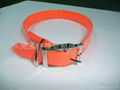 dog collar