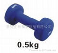 dumbbell 1