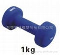 dumbbell 2