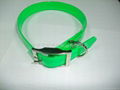 dog collar 4