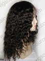 Indian Remy Lace Wigs 2