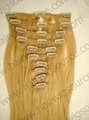 Clips In Hair Weft 3
