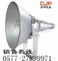 NTC9210防震型投光灯 NTC9210A