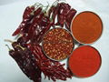 American Red Chili Powder 2