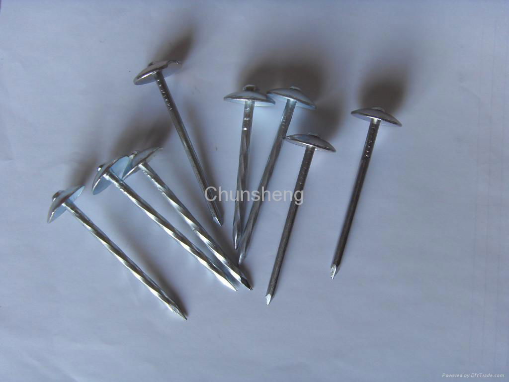 roofing nails 5
