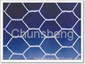 hexagonal wire mesh 2