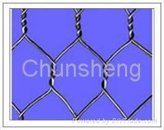 hexagonal wire mesh 3