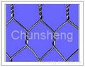 hexagonal wire mesh 3