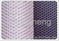 hexagonal wire mesh 4