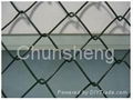 chain link fence 2