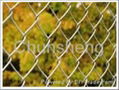 chain link fence 5