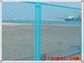 fencing wire mesh 2