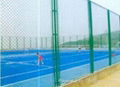 chian link fencing 1