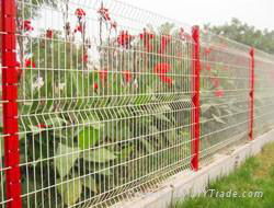 wire mesh fence