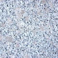 Chinese Pink granite  5