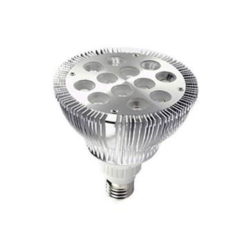 PAR38 12W LED spotlight