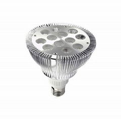 PAR38 12W LED spotlight