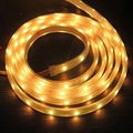 12V SMD3528 LED strip light 1