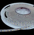 12V SMD3528 LED strip light 2