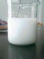 titanium dioxide 1