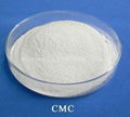 Carboxyl Methyl Cellulose