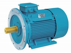 High Efficiency Motor