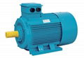 Three-Phase Induction Motor