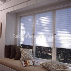 Fabric Pleated Blind 36" x 72"