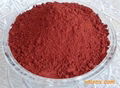 Red Yeast Rice