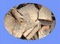 Magnolia Bark Extract