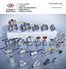 Wenzhou Zhengte Valve Co.,Ltd.