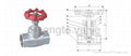 Globe valve