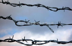 Barbed Wire