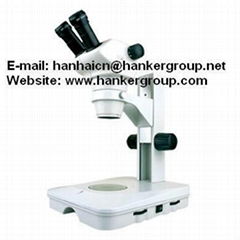 Stereo Microscope