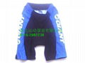 2C giant cycling shorts 1