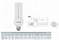 2U Compact Fluorescent Lamp 4