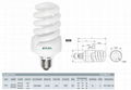 Spiral Compact Fluorescent Lamp